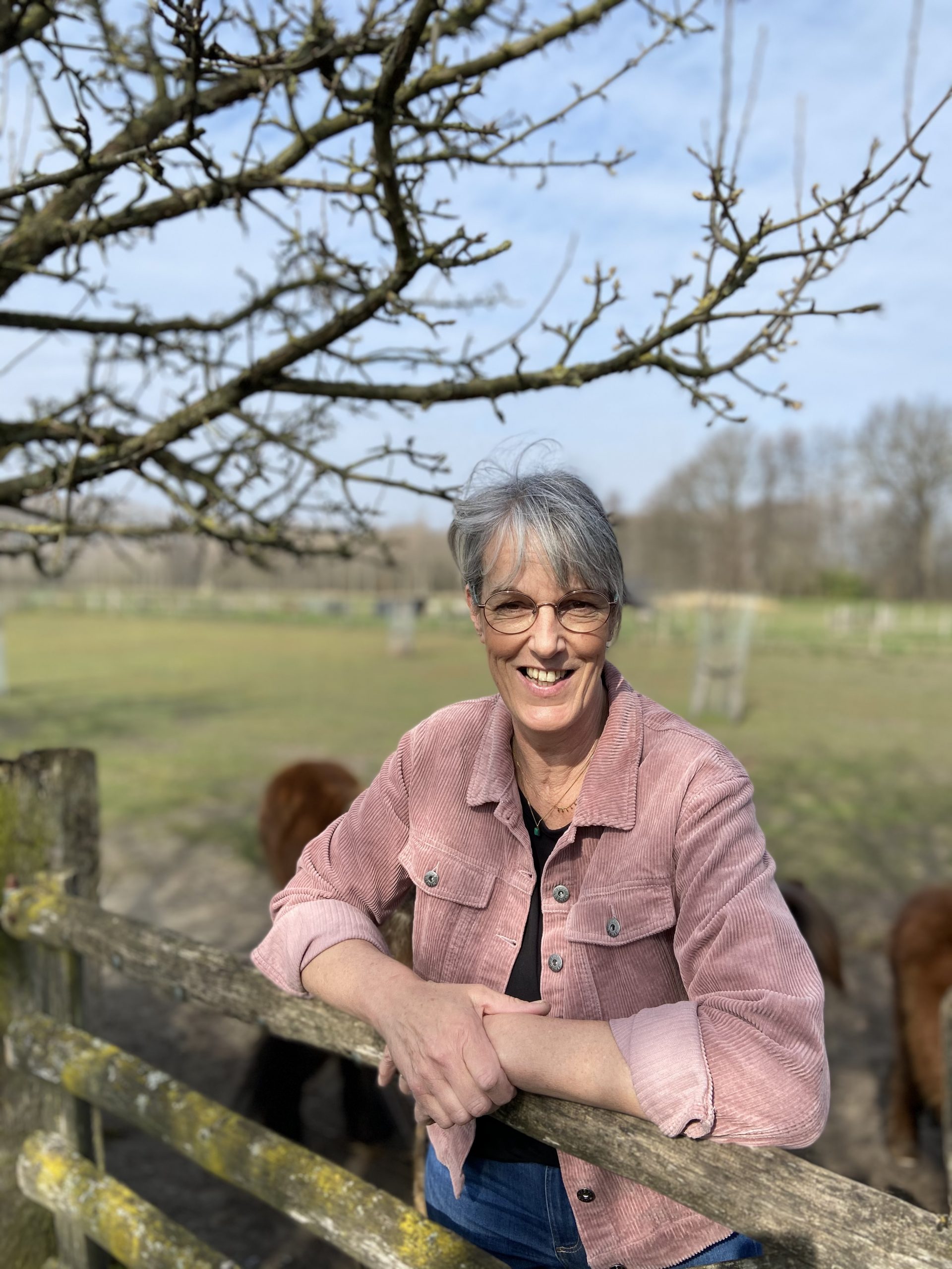 zorgboerderij, arbeidstraining, leervoorziening, gehandicapenzorg, ouderenzorg, zorg, onderwijs