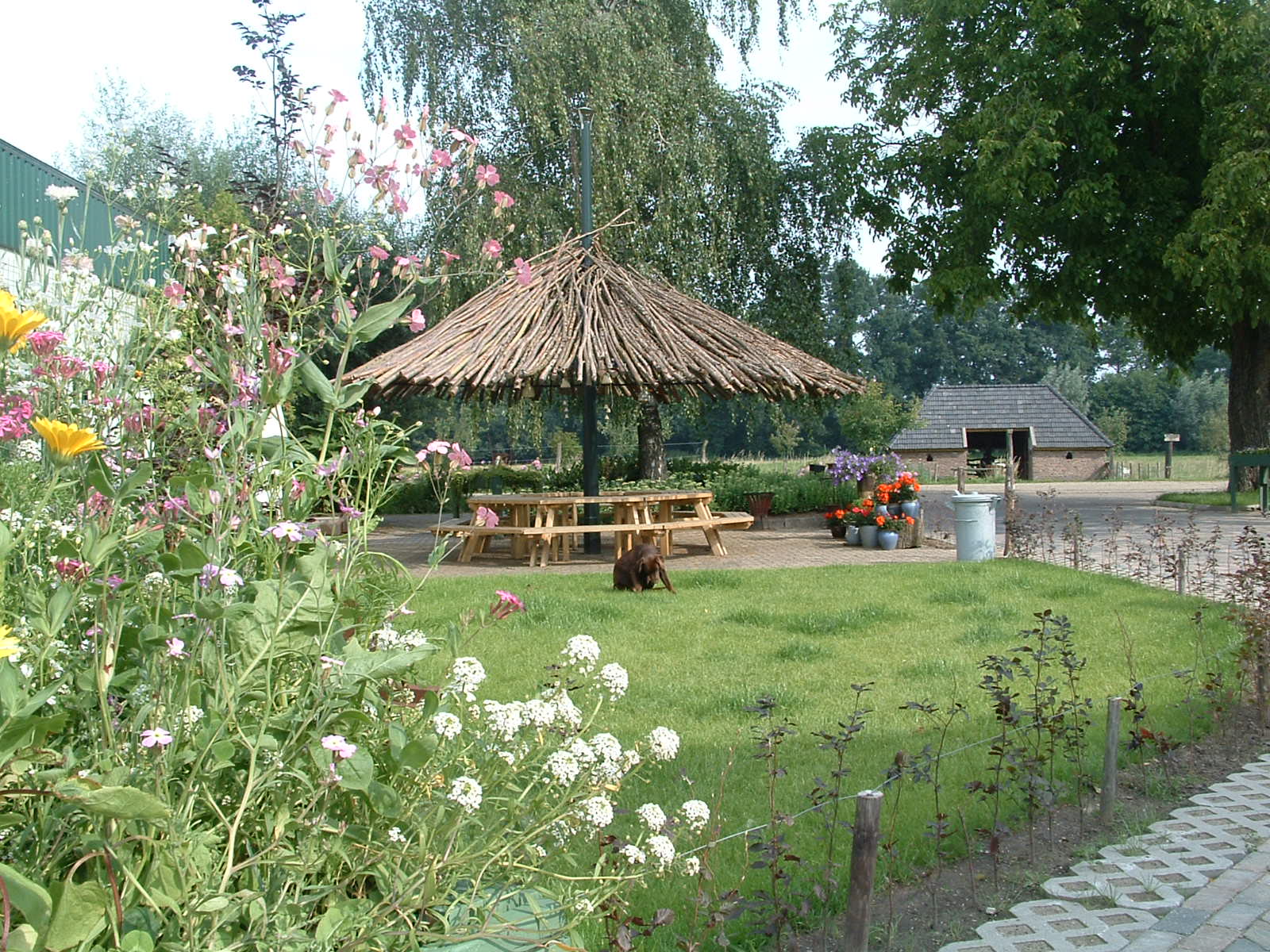 zorgboerderij, arbeidstraining, leervoorziening, gehandicapenzorg, ouderenzorg, zorg, onderwijs